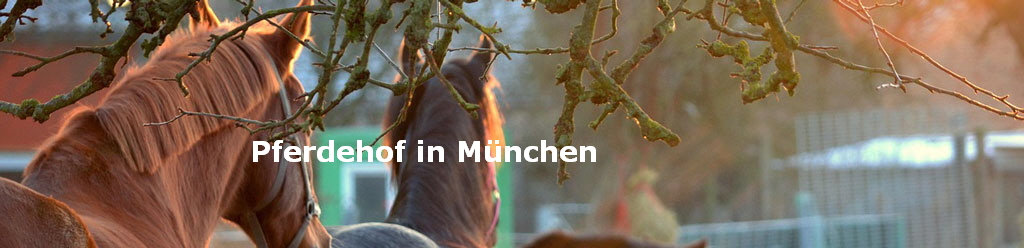 Pferdehof in Mnchen